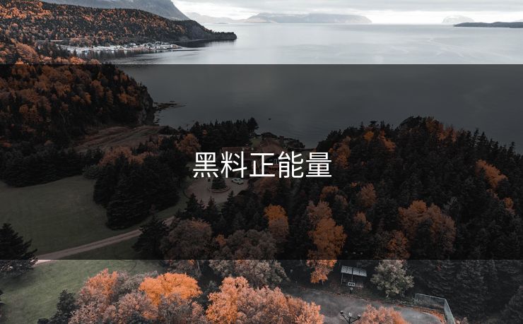 黑料正能量 黑料正能量